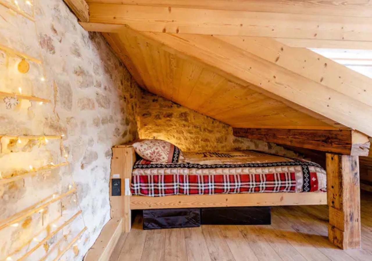 Chalet Annecy 200M Lac, Plage & Montagnes エクステリア 写真